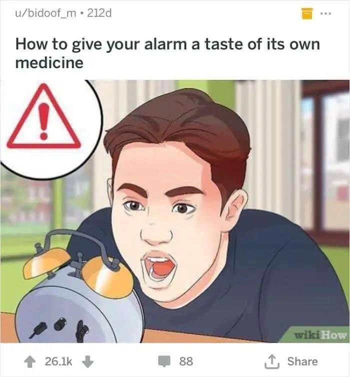 042.jpeg