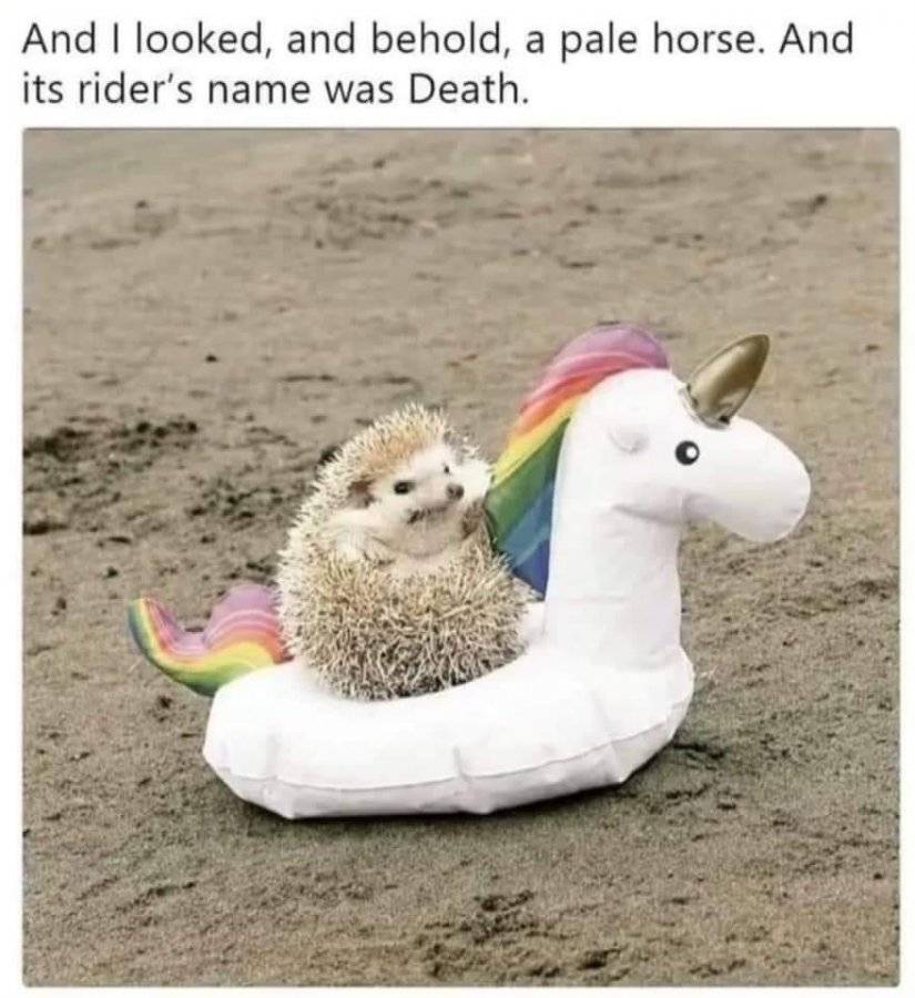 04E7372E-18C6-4332-9021-E1C8610CA85B.jpeg