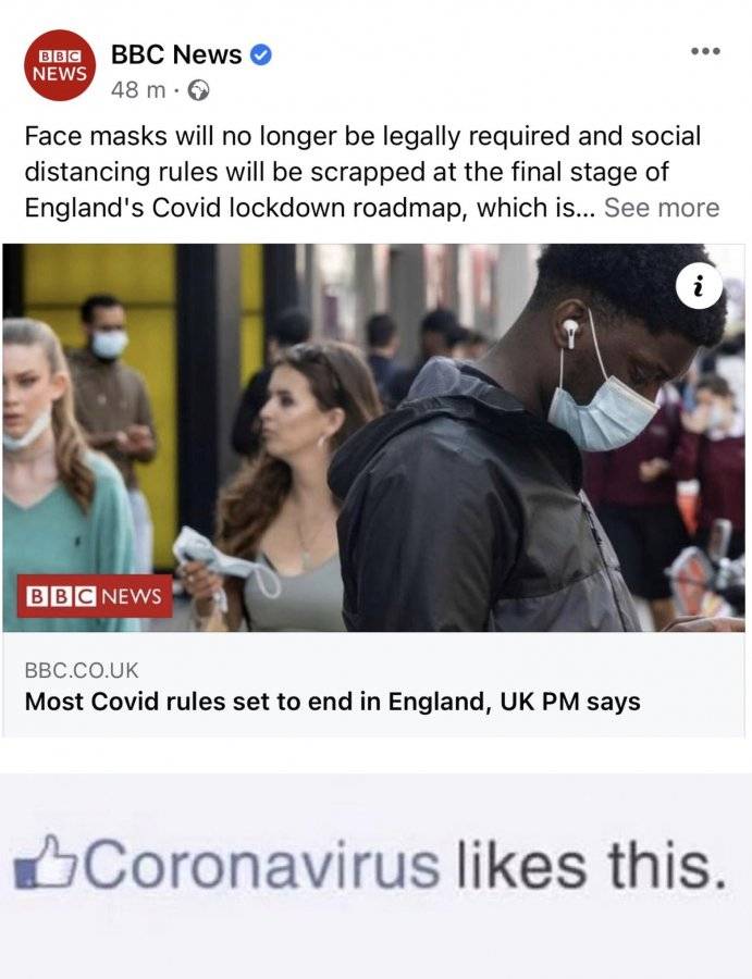 0B5E3C14-B2E4-4655-B572-DFB64517FF2D.jpeg