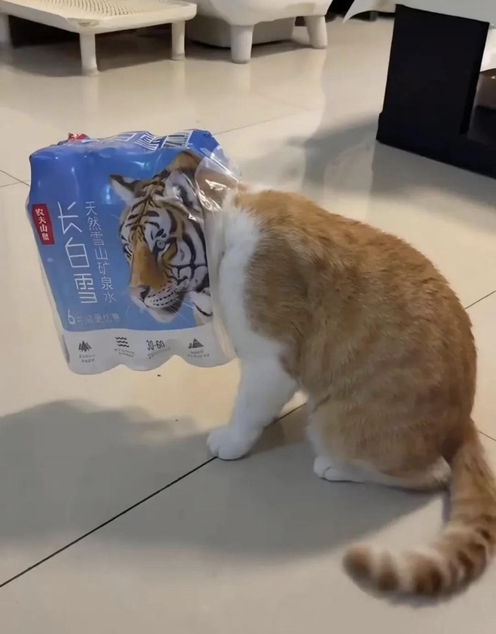 1 (1).jpeg