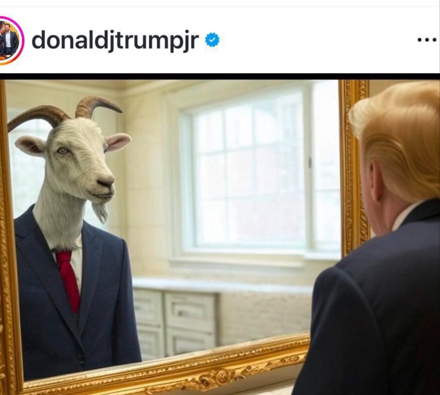 1000015564.jpg