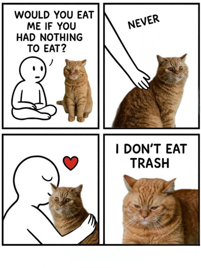 1000021474.jpg