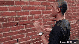 1000026956.gif