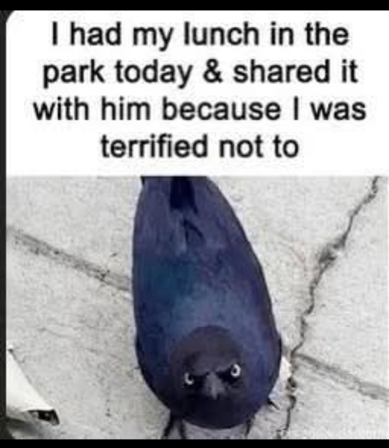 1000056102.jpg