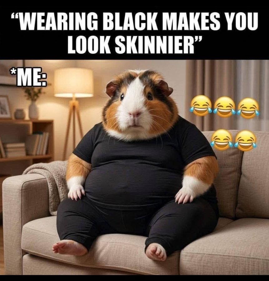 1000056237.jpg