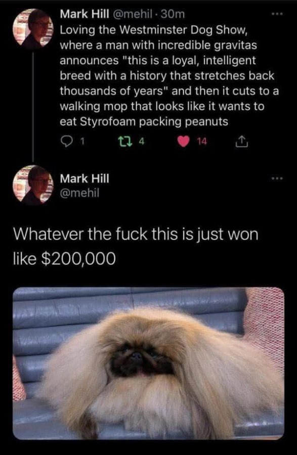1000139149.jpg
