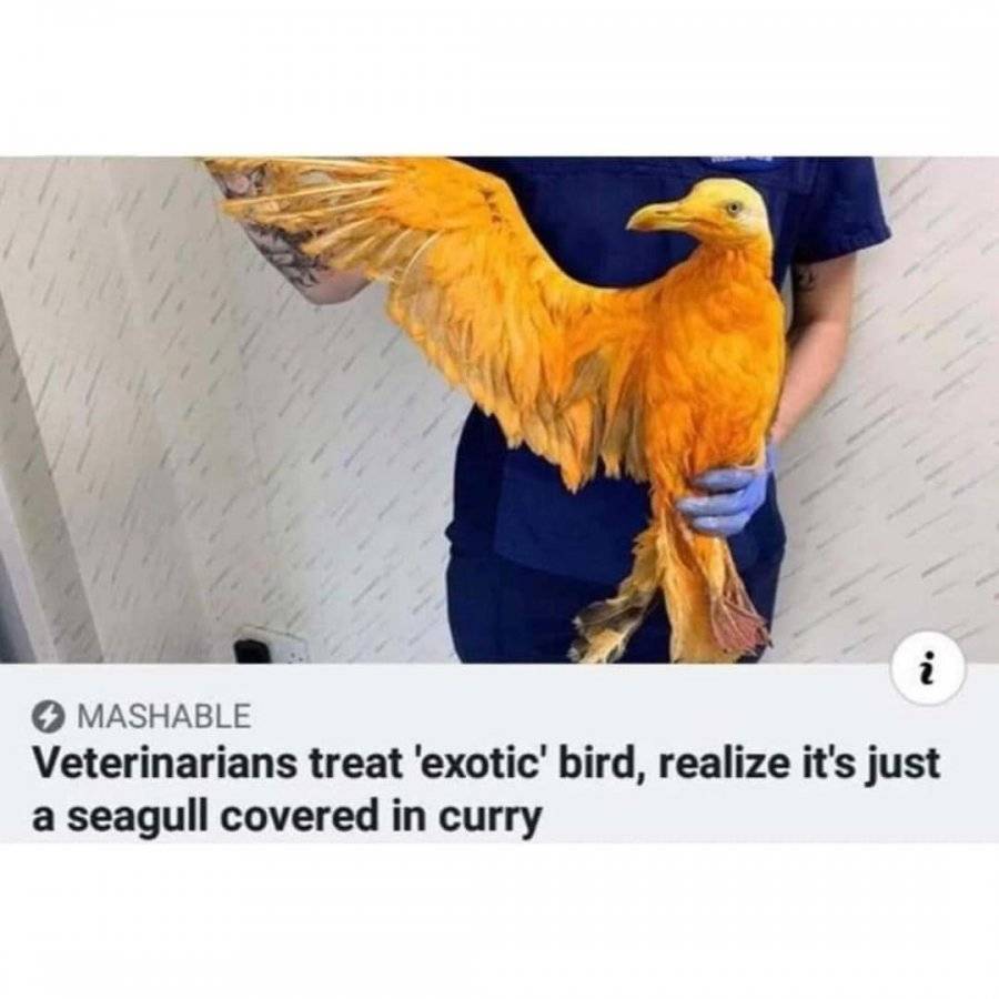 10ABD752-677C-415F-9682-B8F855B283F7.jpeg
