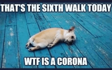 1609439546835.png