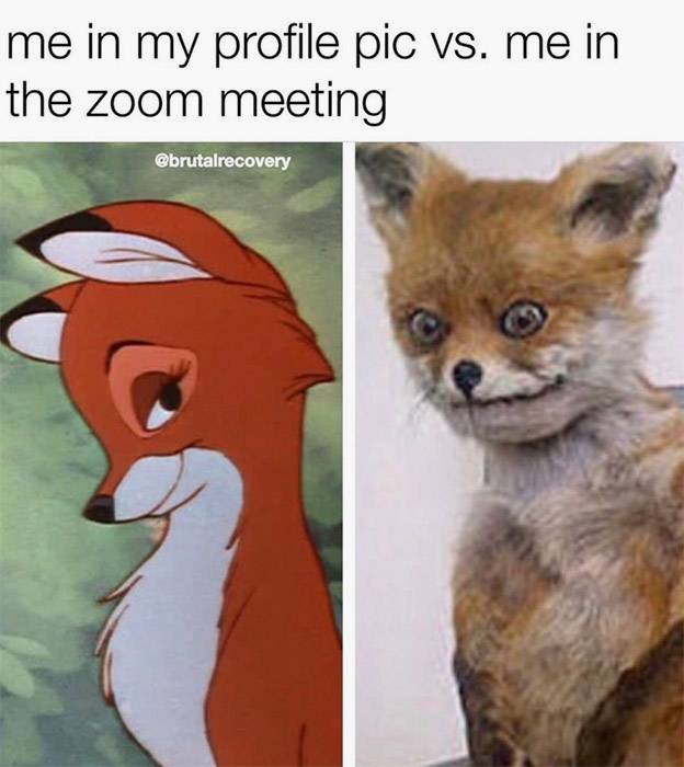 1613169646135.jpeg