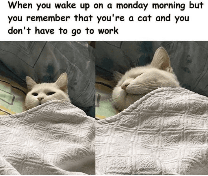 1613565040985.png
