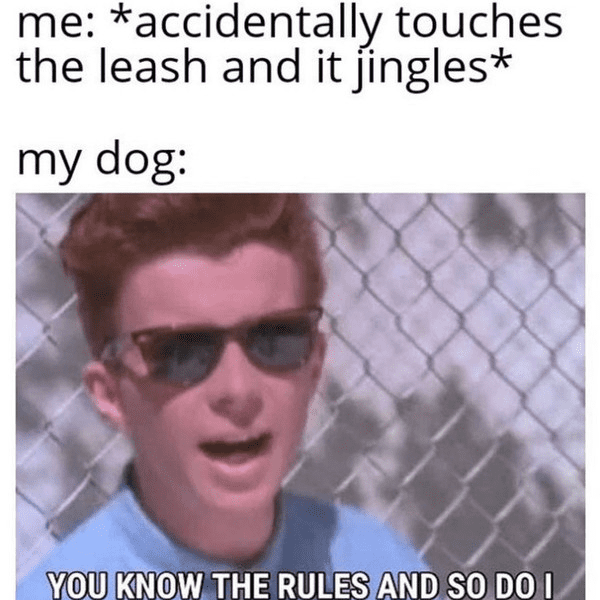 1613682437097.png