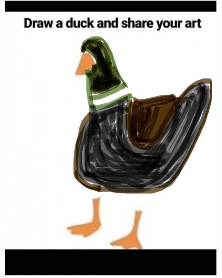 1615742072295.jpeg