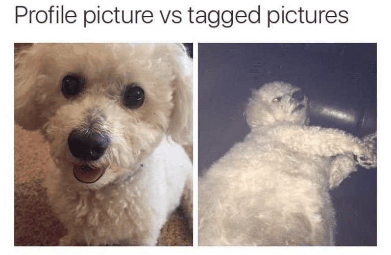 1628076804937.png
