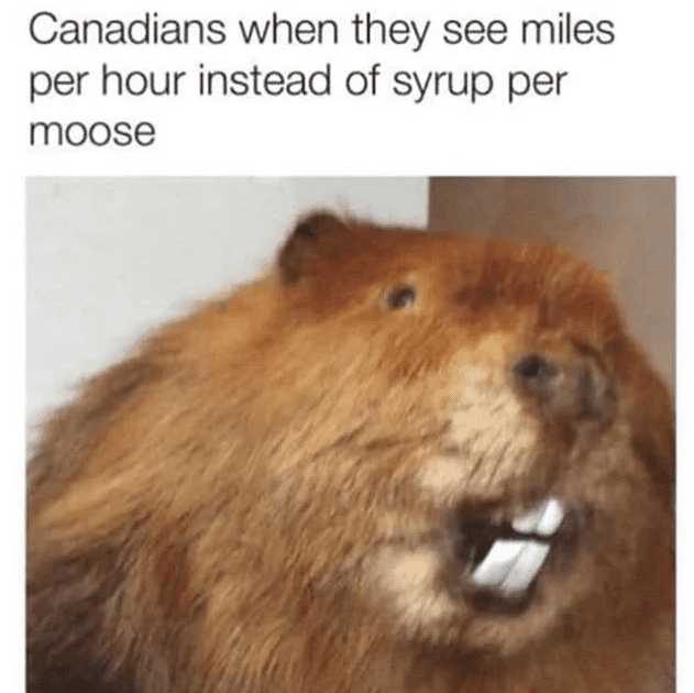 1635260123955.png