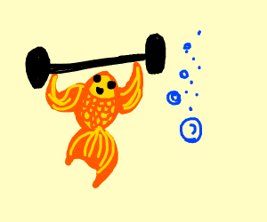 1639768663702.png