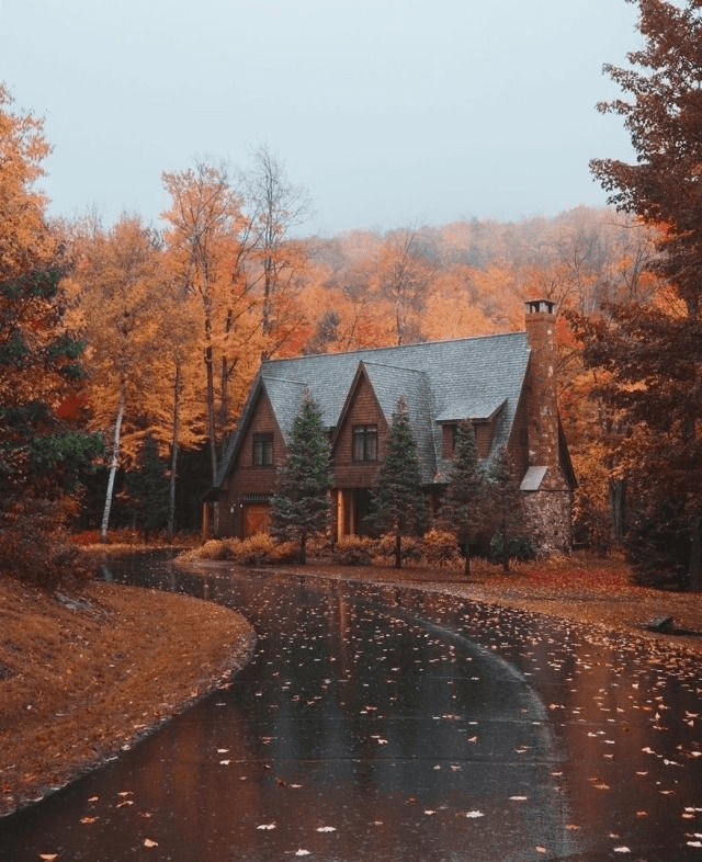 1663187209345.png