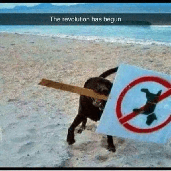1663196983233.png