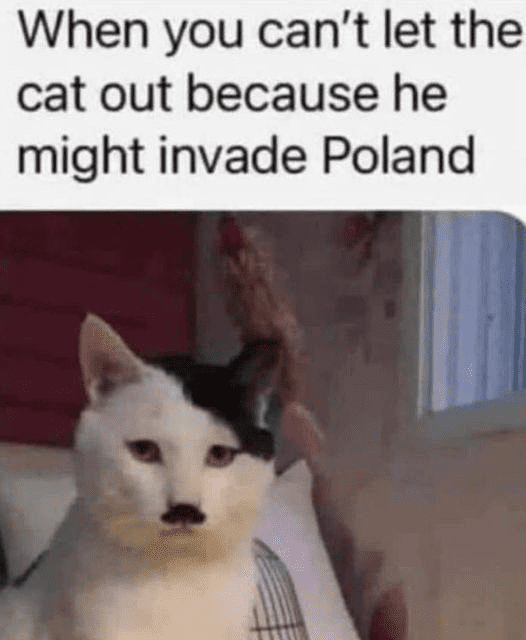 1678099221627.png