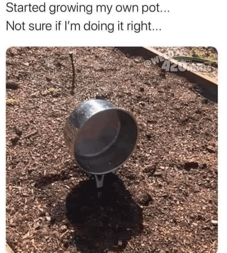 1685266661952.png