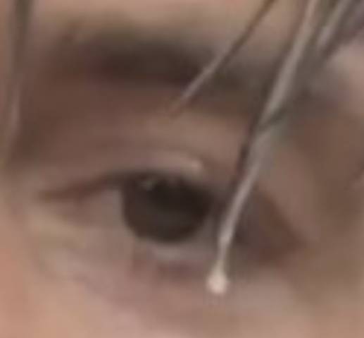 1688153089759.jpeg