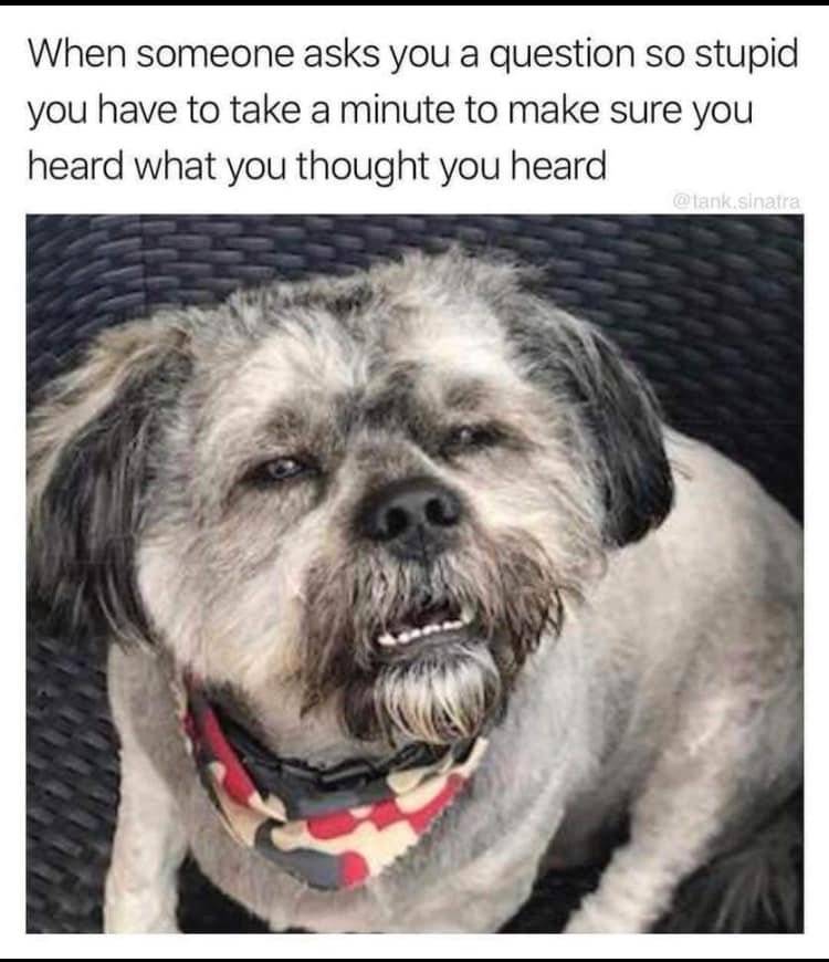 1693602000895.jpeg