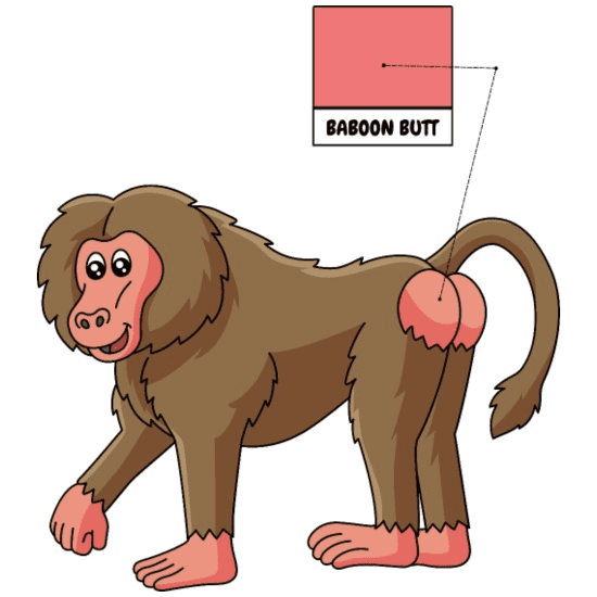 1707601475478.png