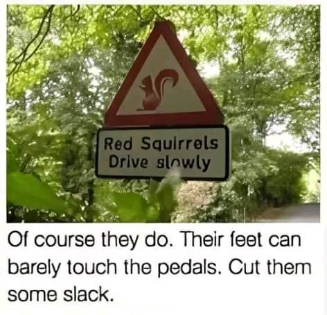 1724250252571.jpeg