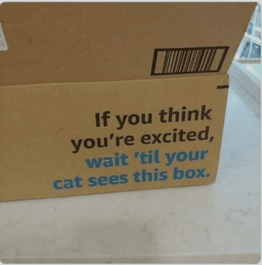 1728201987619.png