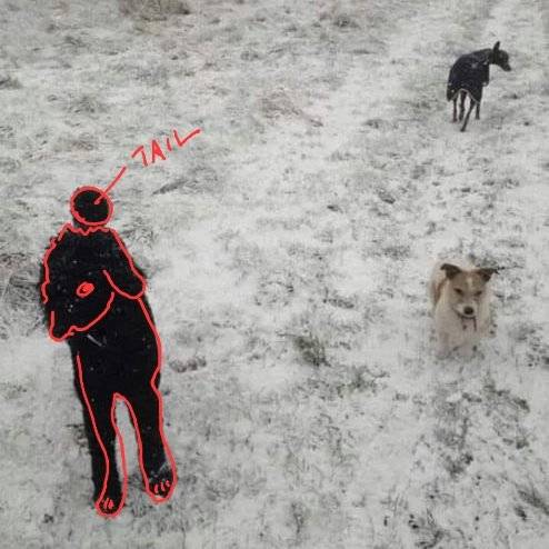 1729110031227.jpeg