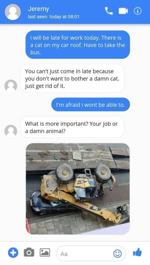1730026628032.jpeg