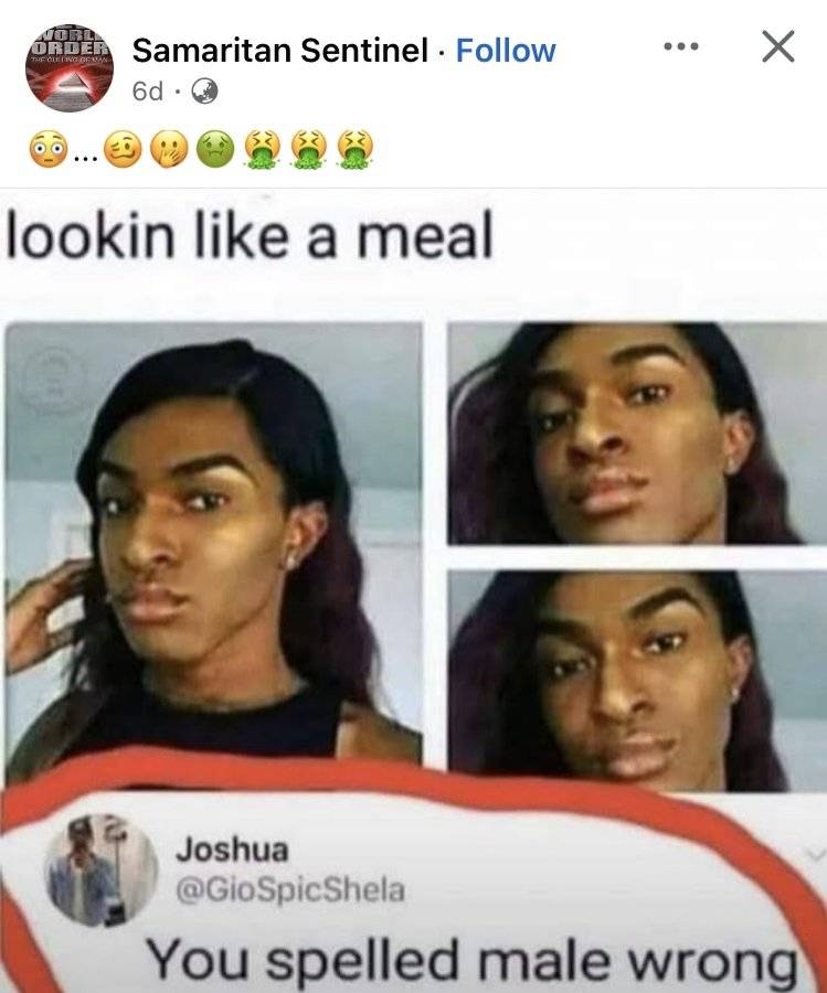 1734382199453.jpeg