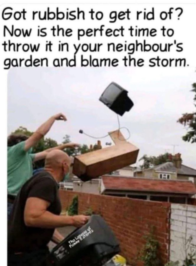 1737734423570.jpeg