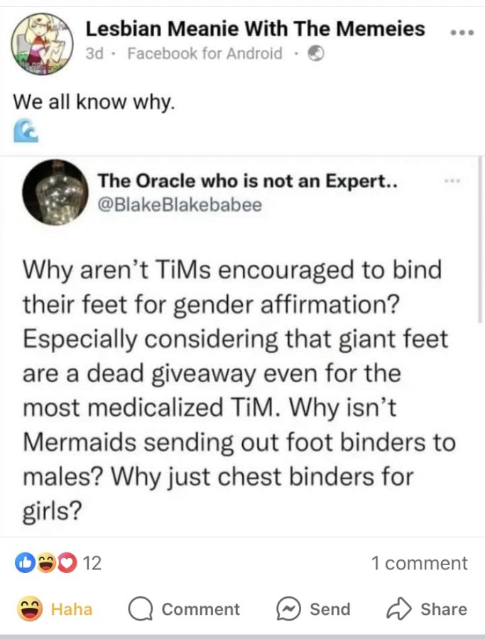 1738514522195.jpeg