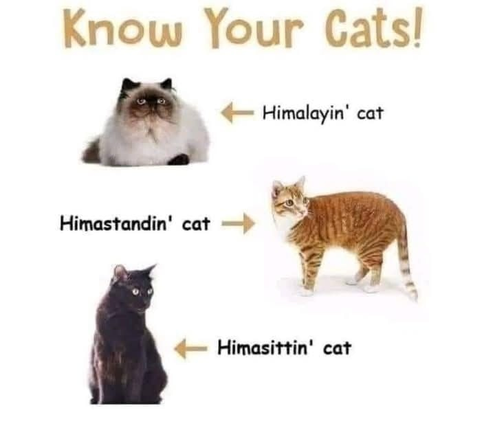 1748264495096.png