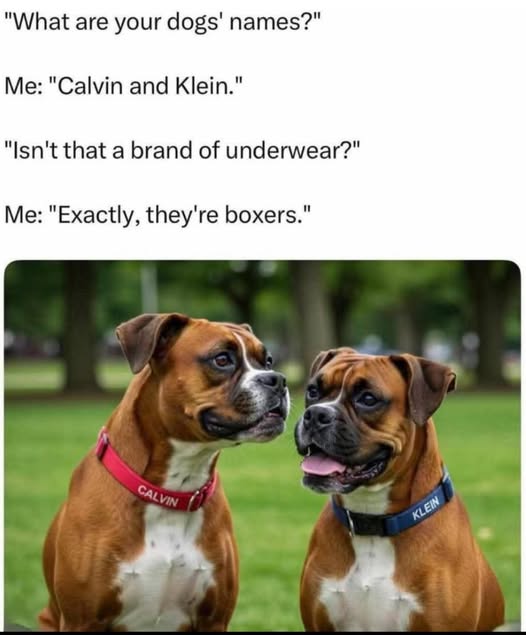 1753358636760.jpeg