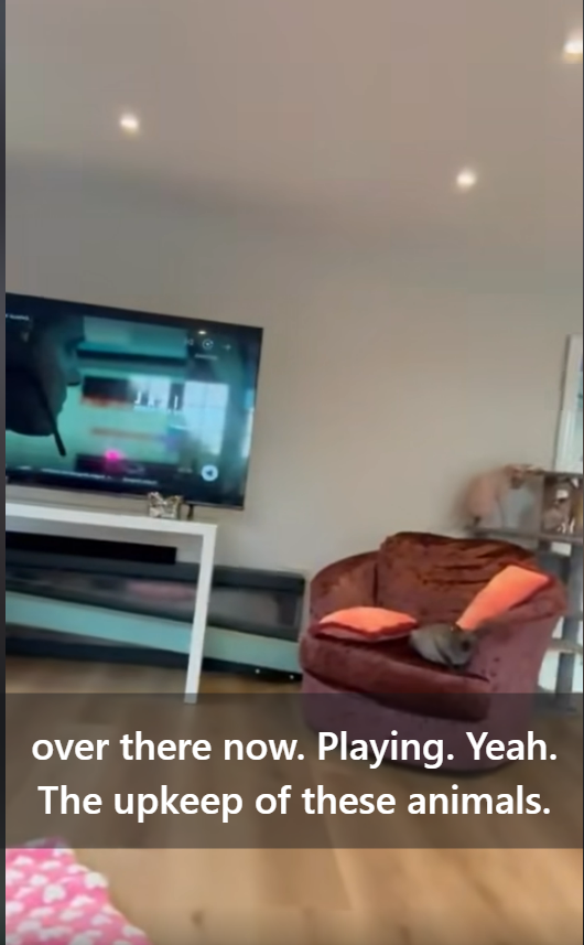 1753784394545.png