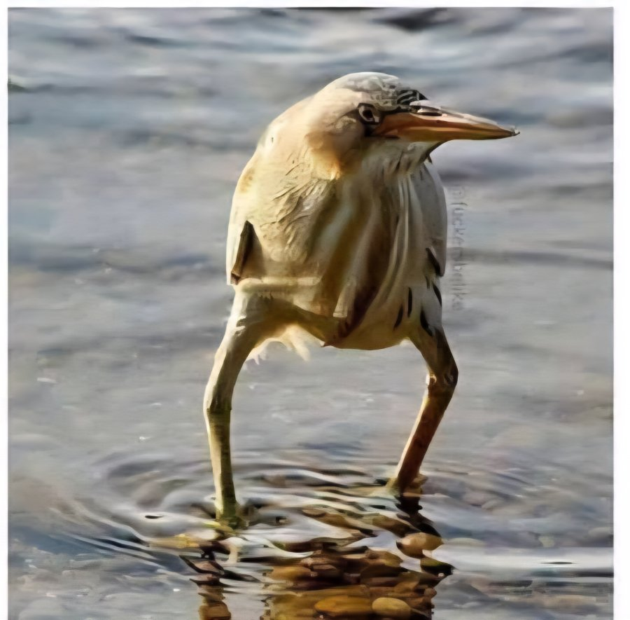 1757050689865.png