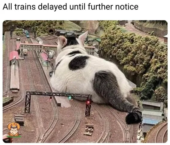 1757067686722.png