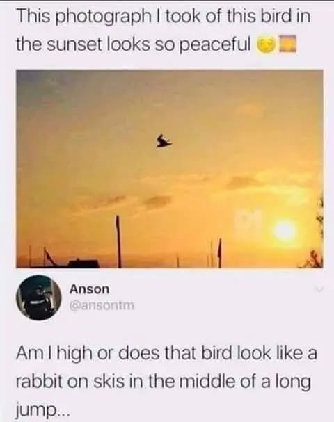 1757322353539.png