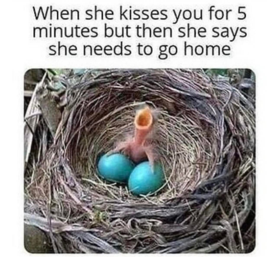 1757704300148.png