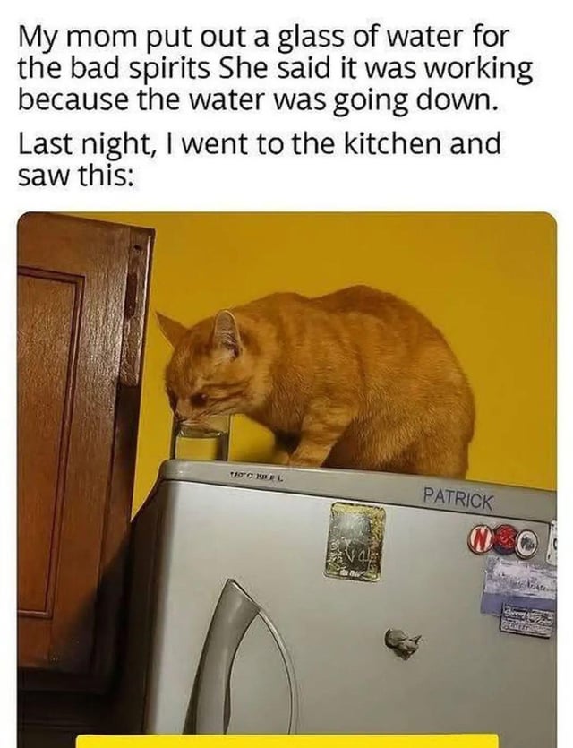 1759948408932.jpeg