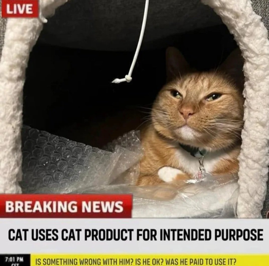 1760184027518.png