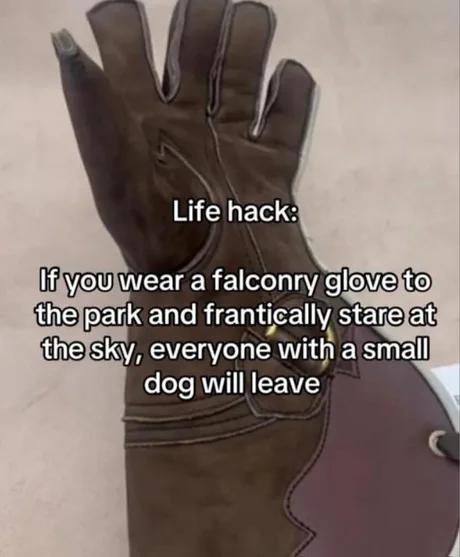1760543094003.jpeg
