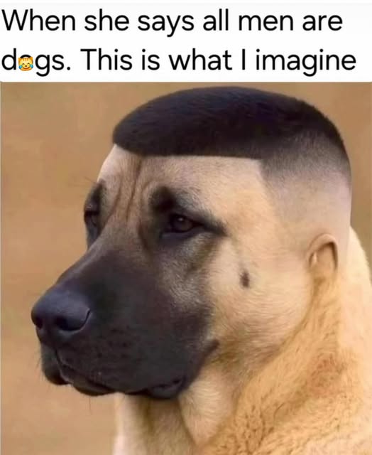 1760615839390.jpeg