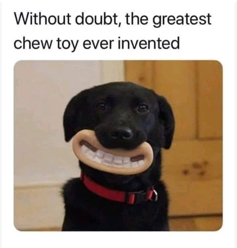 1760994022075.jpeg