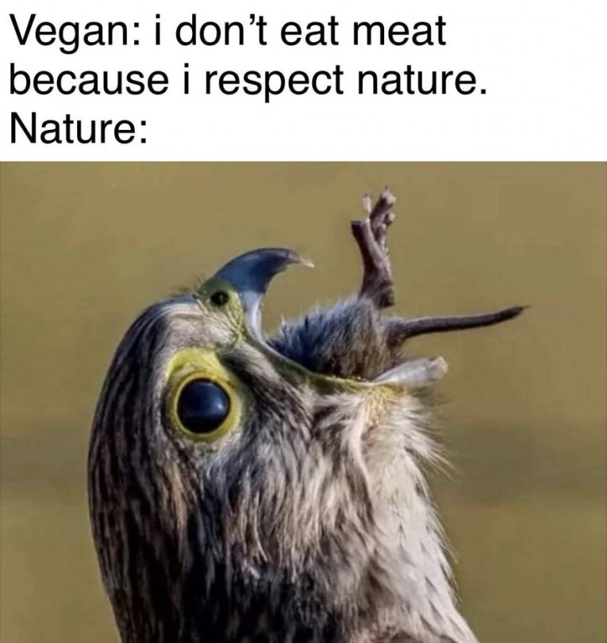 1761858641879.jpeg