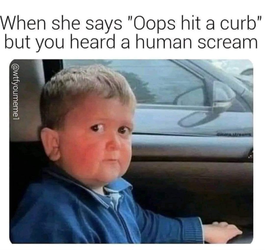 1763078152931.jpeg