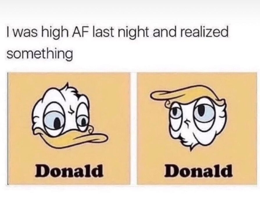 1763206619759.jpeg