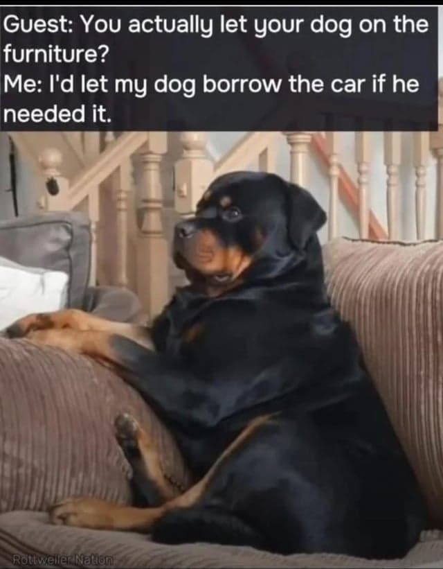1763330794428.jpeg