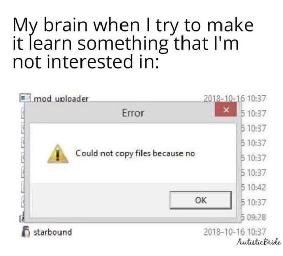 1763384443374.jpeg